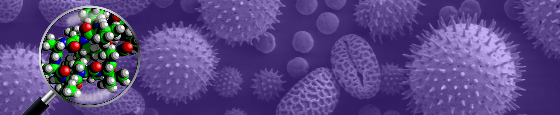 DMCCB Basel Symposium 2023